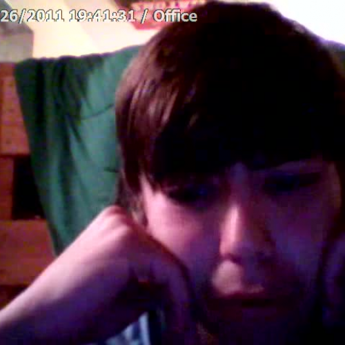 3.02 Describe the Family Visual Presentation