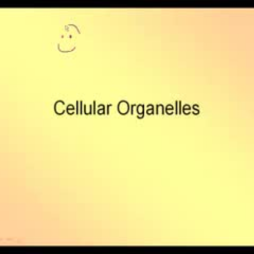 Cellular Organelles