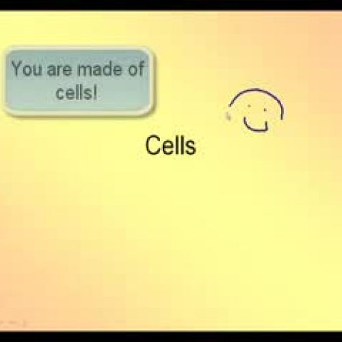 Cell Theory and Microscopes
