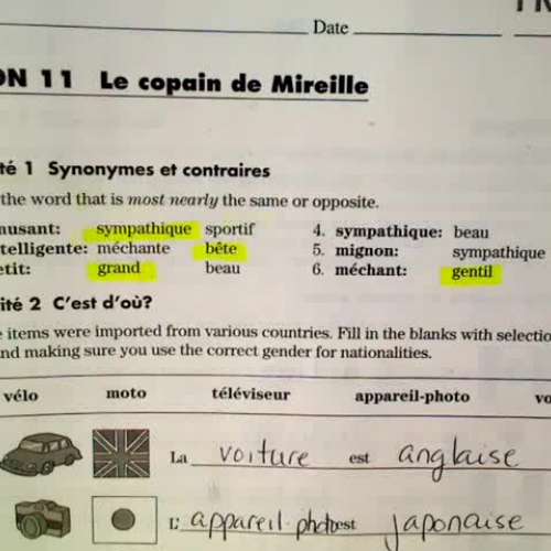 Activite Pour Tous Workbook Lesson 11