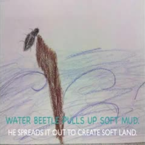 Cherokee Creation Story