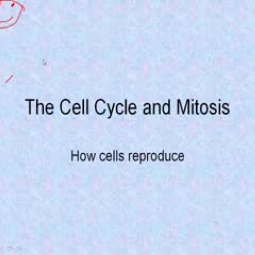 Why Cells Divide and the Cell Cycle