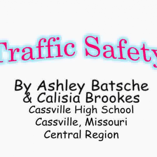 Traffic Safety