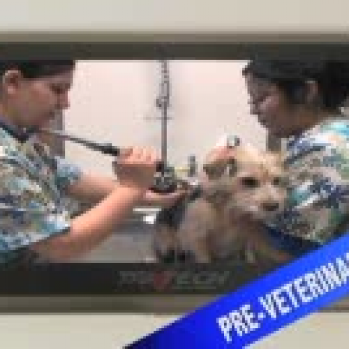 Tri Tech Pre-Veterinary Technician