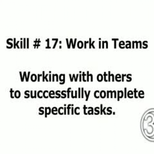 Skill 17: Work in Teams