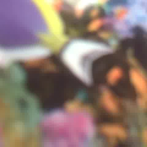 JMS Professional Develpment 2-1