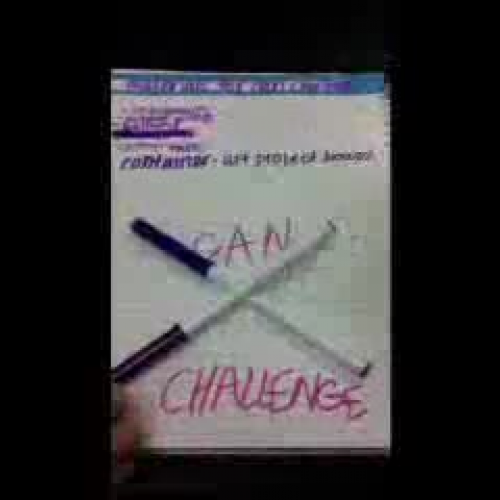 Can Challenge-Tesla-C.C. and Samantha