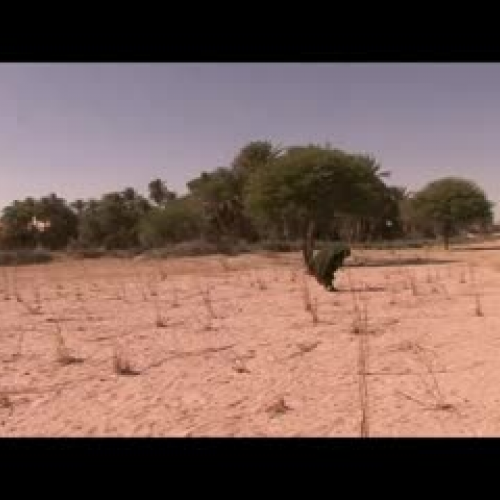 Food Crisis in the Sahel