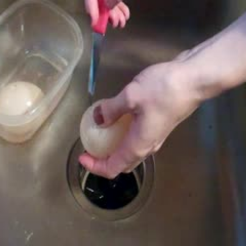 Inside of egg soaked in vinegar