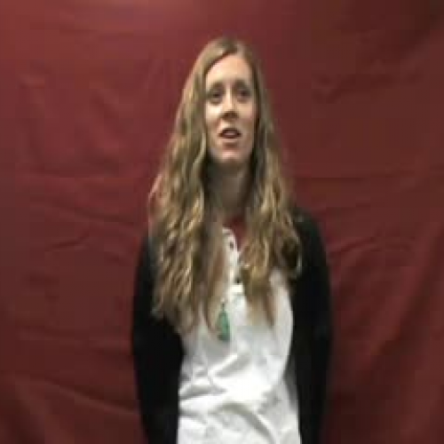 NIS School-wide Expectations