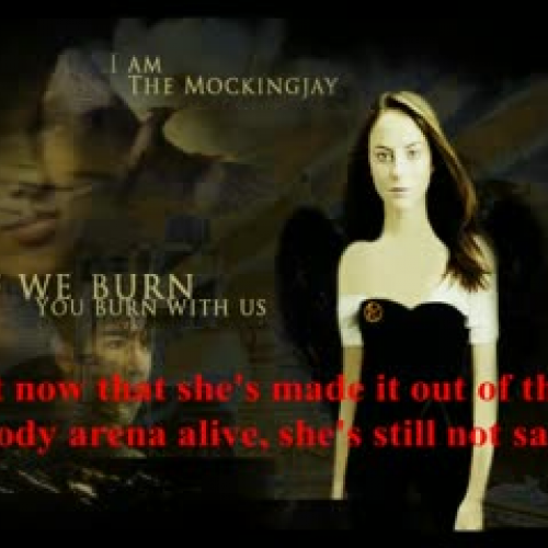 Mockingjay Book Trailer