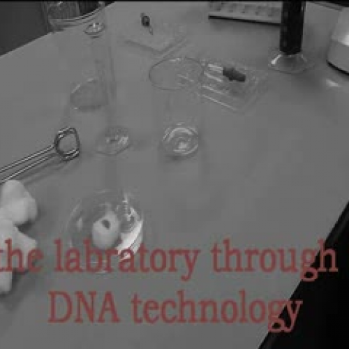 AP3 Technology Video Ardelean Spring 2012