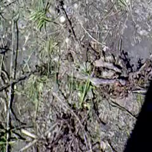 Evidence of Erosion!-LS