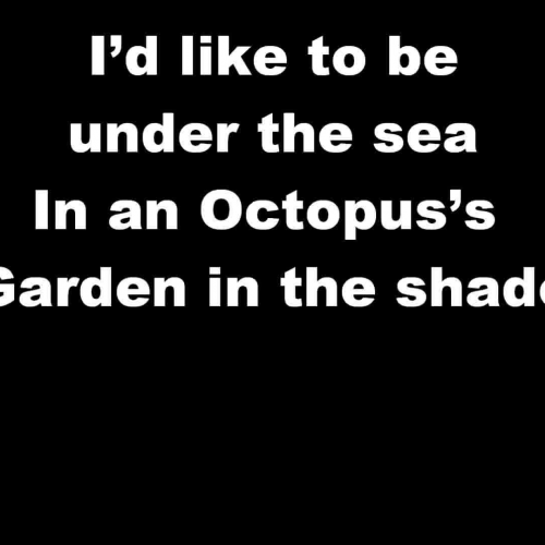 Octopus's Garden lyrics