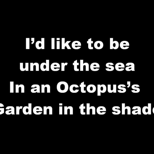 Octopus's Garden (lyrics no vocals)