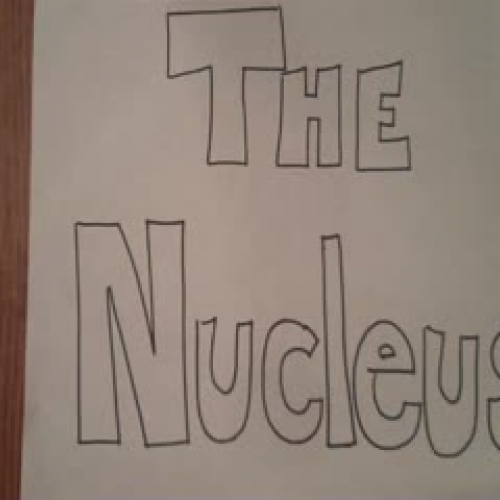 The Role of the Nucleus