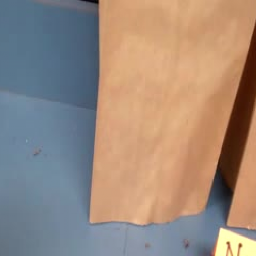 Do Plants Need Water &amp; Light? - Day 1