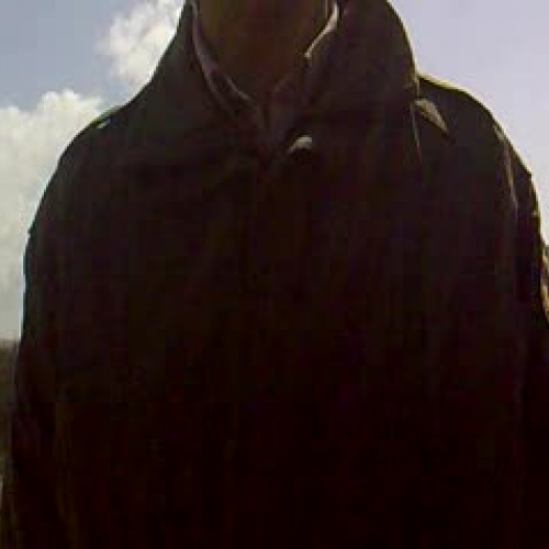 elephant seals at ano nuevo- AF