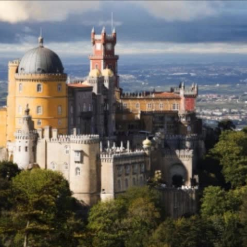 RED4043 Digital Storybook-Tidd