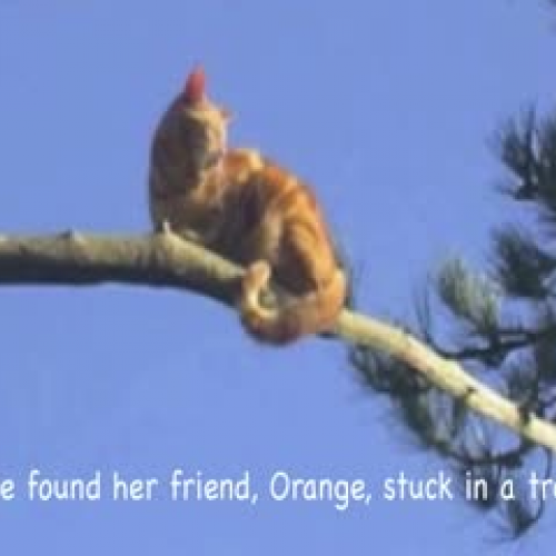 Vocabulary Digital Story