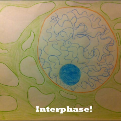 Cell Cycle Video 2012