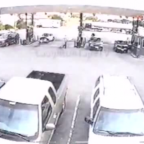 Cat and Static Electricity