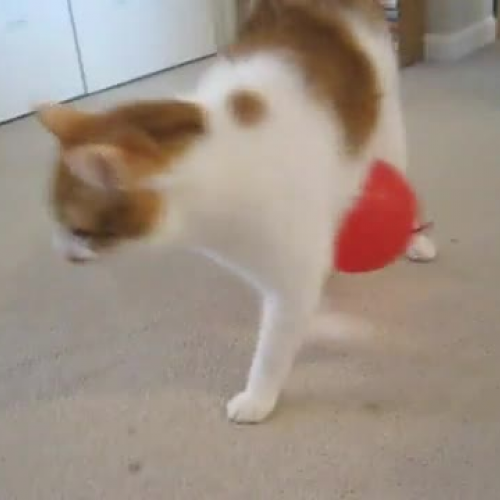 Static Electricity 2