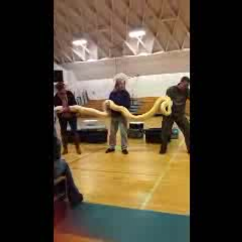 Video Title Westmore