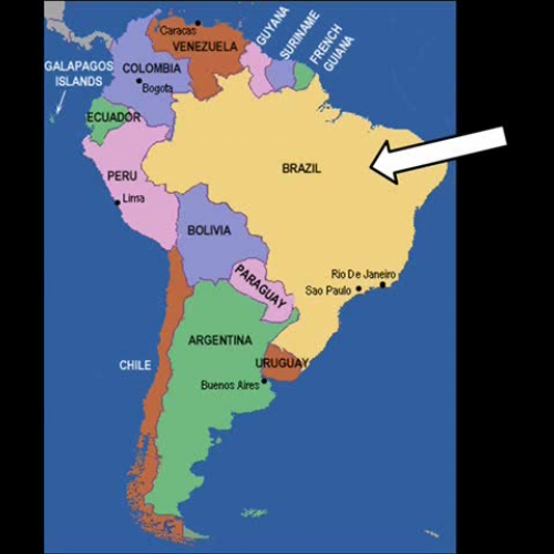 Schooling in Brazil*