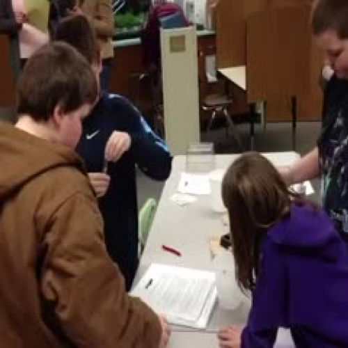 Water Quality Testing, McSorley Elementary