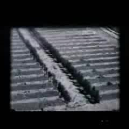 A look at a Martin Luther King website