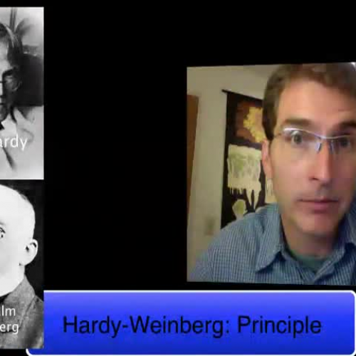 Hardy-Weinberg Vodcast