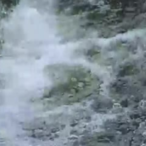 PSHA video on Cholera