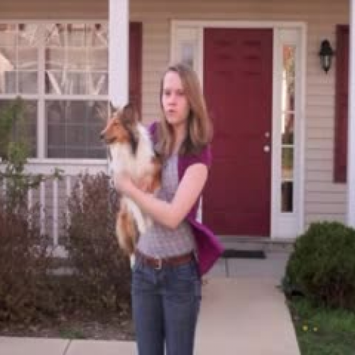 Cribs Espaniol:bailey hartsock for sra. compt