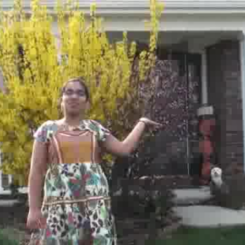 Cribs Espanol: Shivani Suravarjjala for Sra. 