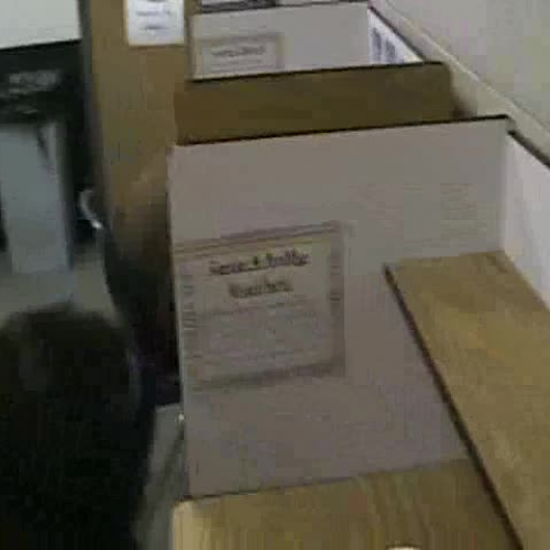 Using Sensory Words: Part 2