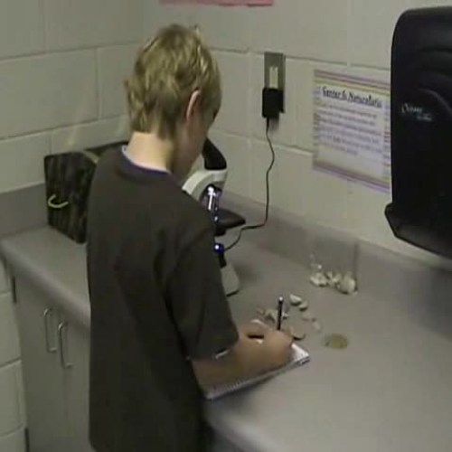 Using Sensory Words: Part 4