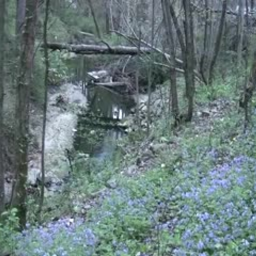 Camp Creek Sewage Spill