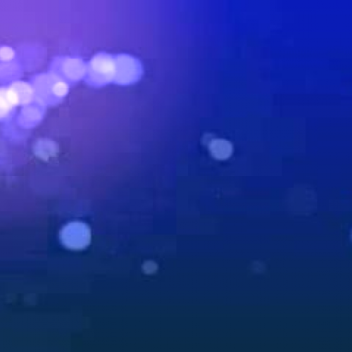 How To Bee With Miss P