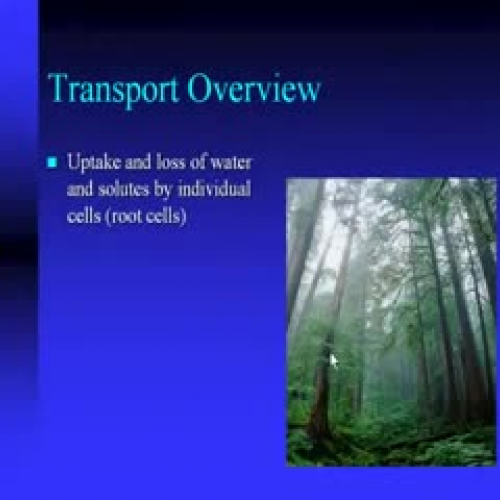 Plant Transport and Nutrition