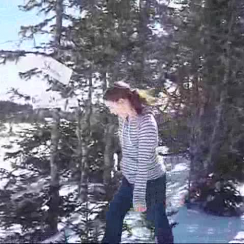 Sharing Our Cultures