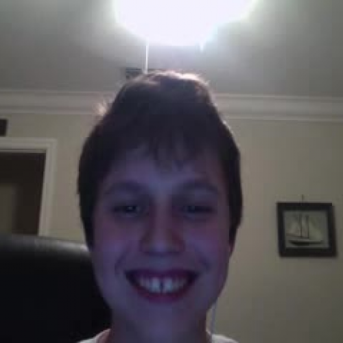 Describe the Family Visual Presentation