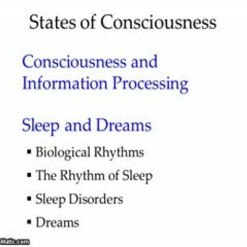 Consciousness Part I