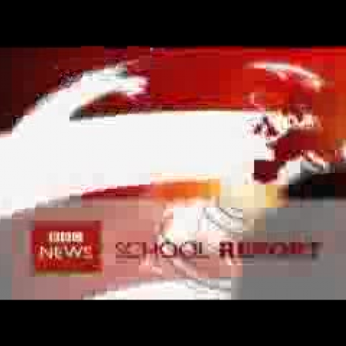 BBC School Report