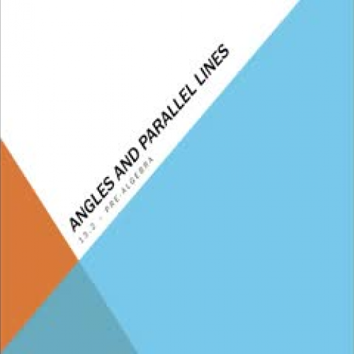 13.2 - Angles and Parallel Lines