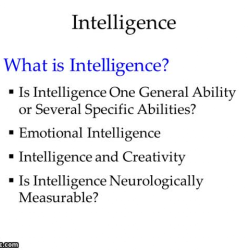 Intelligence Part I