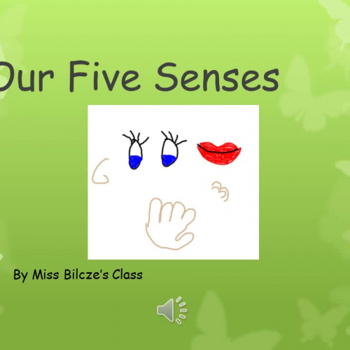 Ms. Bilcze's Class Project