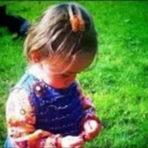 All's Family Treasure