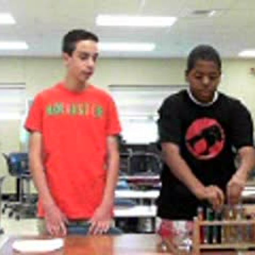 Chromatography Lab Introduction