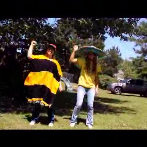 Spanish Conjugation Video- Sexy and I know it